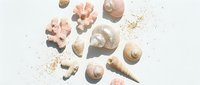 Wooden craft supplies and natural materials scattered on white background with decorative gold dust particles.