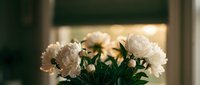 White peony flowers in soft focus with warm lighting creating elegant home decor atmosphere for interior design and floral arrangements.