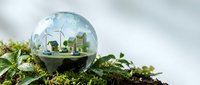 Miniature eco-friendly city inside a glass globe with wind turbines, solar panels, and electric cars, resting on green moss and soil.