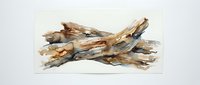 Pile of weathered driftwood logs and branches stacked together, showing natural wood texture, grain patterns and aged surfaces. Suitable for nature, environmental and rustic design projects.