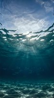Underwater view with sunlight rays penetrating through crystal clear ocean water surface creating magical light beams and ripples on sandy bottom.