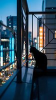 Silhouette of cat sitting on modern balcony railing at dusk overlooking illuminated cityscape with skyscrapers and neon lights for pet, urban lifestyle, and evening mood concepts.