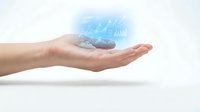 Business hand presenting holographic data analytics charts and graphs floating above palm on white background for technology presentations.