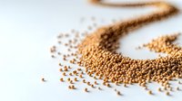 Yellow mustard seeds scattered on white surface in curved line pattern, macro food photography with selective focus and soft natural lighting.