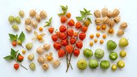 Colorful autumn harvest arrangement with physalis lanterns, cherry tomatoes, walnuts and green gooseberries on white background for seasonal cooking designs.