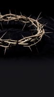 Crown of thorns on black background symbolizing suffering, sacrifice, and redemption for religious, spiritual, and educational content.