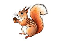 Cute squirrel with fluffy tail holding acorn, isolated on white background. Suitable for children's books, educational materials, and design projects.