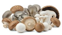 Fresh assorted mushrooms including shiitake, oyster, portobello and white button varieties arranged together for culinary cooking and gourmet cuisine preparation.