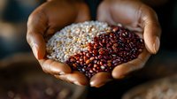 African American hands holding mixed quinoa grains and red beans, showcasing healthy organic ingredients against dark background, macro food photography.