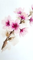 Watercolor cherry blossom branch with delicate pink flowers and brown stems on white background for spring designs and botanical artwork.