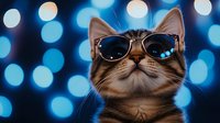Cool tabby cat wearing stylish sunglasses against blue bokeh lights background. Trendy pet portrait for social media, advertising campaigns, and lifestyle content.