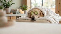 Golden retriever dog relaxing with cucumber slices on eyes during spa treatment at home wellness session for pet care and relaxation therapy.