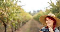 Woman with red hair wearing straw hat and checkered shirt in vineyard rows during harvest season, agricultural work and wine production concept.