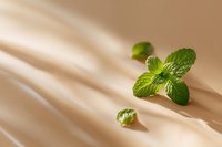 Fresh mint leaves on smooth beige surface with soft natural lighting and elegant shadows creating minimalist botanical composition for wellness concepts.