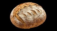 Rustic whole grain sourdough bread loaf isolated on transparent background, ready for food design, stickers, print on demand, menus, and T-shirt use.