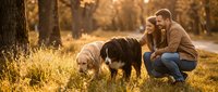 Young Caucasian couple crouching in autumn park with two dogs, golden sunset light filtering through trees, warm fall outdoor lifestyle scene.