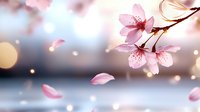 Delicate pink cherry blossoms against blurred bokeh background with falling petals creating dreamy spring atmosphere. Soft natural lighting enhances romantic mood.