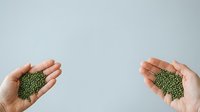 Two hands holding green lentils against neutral background, representing organic legumes, nutrition, and healthy food ingredients for cooking and dietary use.