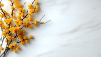 Autumn forsythia branches with golden yellow flowers on white marble background with copy space for seasonal spring home decor and floral arrangements.