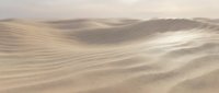 Endless sand dunes stretch across desert landscape with soft golden light creating natural patterns and textures in arid wilderness environment.