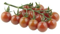 Fresh ripe cherry tomatoes on green vine branch isolated on white background, ready for food packaging design and culinary projects.