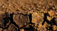 Cracked dry soil texture with deep fissures showing drought conditions and arid landscape. Natural earth surface pattern for environmental concepts.