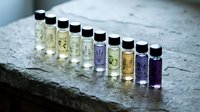 Essential oil bottles with dried herbs and botanicals arranged in a row on stone surface for aromatherapy and wellness.