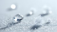 Delicate snowflakes resting on sparkling snow surface with soft bokeh lights creating magical winter atmosphere for seasonal designs and holiday projects.
