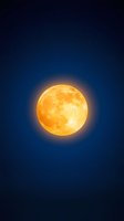 Bright golden full moon glowing against dark blue night sky with subtle stars, creating atmospheric celestial scenery for astronomy and nature designs.