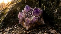 Purple amethyst crystal cluster on rocky surface with warm golden sunlight creating natural mineral specimen display for healing and meditation practices.