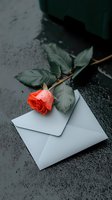 Single coral rose with green leaves resting on pale blue envelope against dark wet surface, creating romantic atmosphere for love letters.