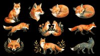 Watercolor fox collection with multiple poses, isolated on transparent background. Cute woodland animal clipart for t-shirt design, stickers, print on demand, and sublimation.