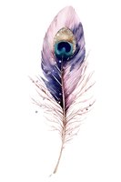 Watercolor peacock feather with gradient pink and navy tones, isolated on white background. Ready for design, print, and decorative applications.