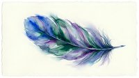 Watercolor feather in blue purple and green hues on white background. Soft artistic painting style for nature designs and decorative projects.