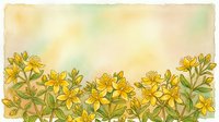 Watercolor botanical illustration of yellow St. John's wort flowers with green leaves on a soft textured background with copy space.
