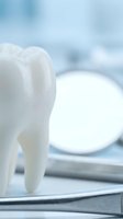 White tooth model on dental mirror in clinical setting for oral health and dentistry education materials.