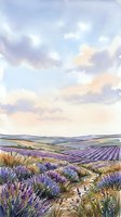 Lavender field landscape with rolling hills, purple flowering plants, and winding dirt path under soft cloudy sky, suitable for travel, nature, and agricultural design projects.