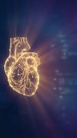 Glowing golden human heart anatomy with digital circuit patterns on purple blue gradient background for medical technology concepts.