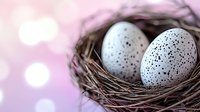 Speckled white eggs in natural twigs nest against soft pink bokeh background, macro close-up view showing delicate spotted pattern and organic textures.