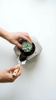 Hands planting green succulent in modern geometric concrete planter with wooden tool on white background for home gardening and interior decor projects.