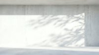Minimalist concrete wall with large window casting natural tree shadow patterns creating abstract geometric light and shadow interplay for modern interior design.