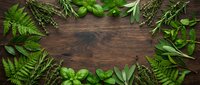 Fresh green herbs and ferns arranged in decorative border frame on rustic dark wood background with copy space for natural cooking and wellness designs.