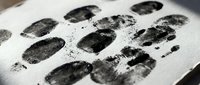 Fingerprints on white paper for forensic analysis, criminal investigation, and identification purposes.