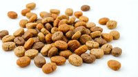Dry pet food kibble pile scattered on white background, isolated crunchy brown nuggets for dogs or cats, healthy nutrition concept.