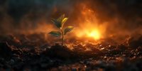Young green plant growing from soil against dramatic sunset sky with dark storm clouds, symbolizing hope, resilience and new beginnings in challenging times.