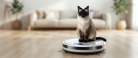 Siamese cat sitting on robotic vacuum cleaner in modern living room with wooden floors and beige furniture for smart home automation and pet care concepts.