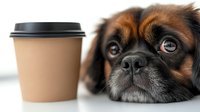 Adorable small dog with expressive eyes lying next to takeaway coffee cup on white background, perfect for pet care and cafe marketing materials.