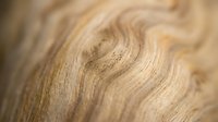 Closeup of light wood grain texture with natural swirling patterns and warm beige tones, suitable for backgrounds, flooring design, and interior decoration projects.