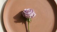 Single purple rose with green stem on neutral beige ceramic plate creating elegant minimalist composition with soft shadows for romantic decor concepts.
