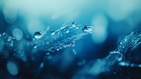 Macro photography of morning dew drops on plant in blue tones. Water droplets create natural lens effect with bokeh background showing nature's delicate beauty.
